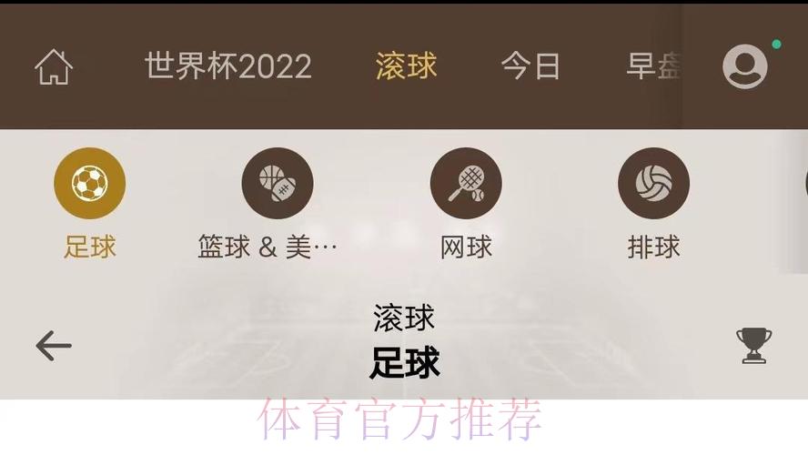 深度解读：世界杯滚球平台注册完整攻略